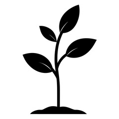 Young Green Sapling Vector
