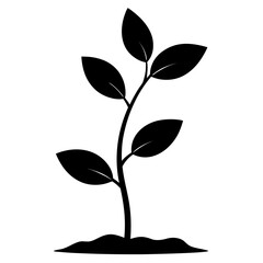 Young Green Sapling Vector