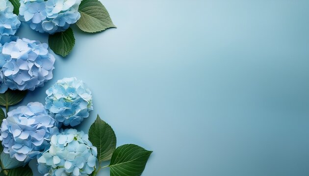 soft blue hydrangea flowers and green leaves border with copy space