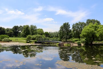 The peaceful pond in the countryside on a sunny day.