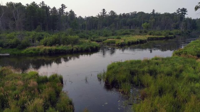 drone flying over wetland marsh with river and forest