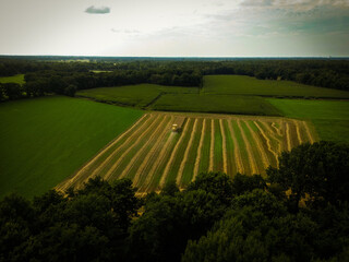 Fields with a combine harvester during harvest, adjacent to a forest, seen from a bird's eye view,...
