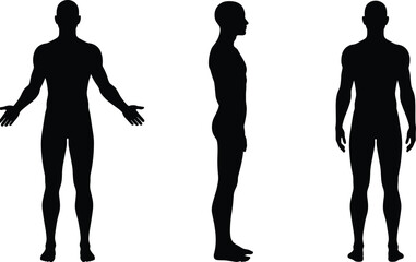 Male human body silhouette vector front side and back view of man anatomy outline isolated black figure pose set full body illustration concept