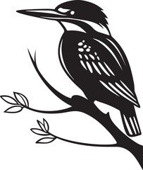 black and white bird