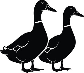 Silhouette of two domestic ducks standing together, farm bird illustration, poultry animal vector art, black and white duck design