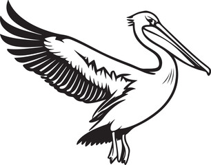 pelican on white background