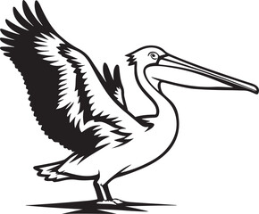 pelican vector illustration