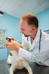 Caring veterinarian examines a dog in a bright clinic environment