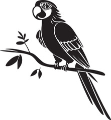 vector illustration of a parrot