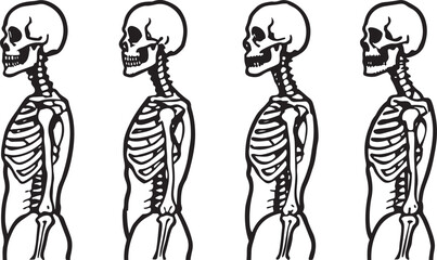 Hand-drawn human anatomy sketch illustrations of a woman's body and a child's silhouette outline