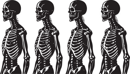 A stylish set of vector silhouette illustrations of women in various fashion and body poses