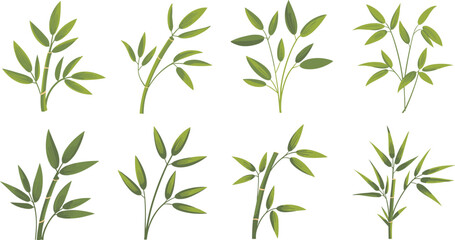 Stylish green bamboo vector illustration set with leaves, ideal for Asian decor, eco nature themes, botanical designs, and wallpapers.