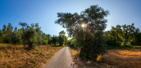 A serene rural road stretches into the distance