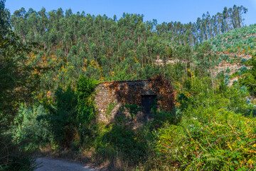 A rustic stone structure overgrown with ivy and vegetation