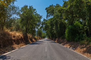 A straight, tree-lined rural road stretches into the distance