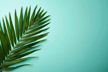 Fototapeta premium Luxurious and Elegant Aerial Shot of Tropical Palm Leaf on Teal Background, Ideal for Hospitality, Travel, and Fashion Industries.