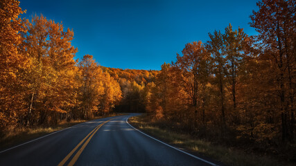 Fototapeta premium Winding Asphalt Road Through Vibrant Autumn Forest under Blue Sky Keywords: road, autumn, fall, trees, forest, winding, asphalt, nature, landscape, season, foliage, leaves, orange, yellow, red