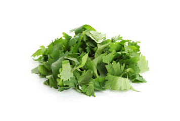 Leaves of fresh cilantro isolated on white