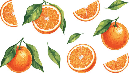 Orange fruit illustration, citrus slices, fresh oranges, realistic texture, green leaves, juicy segments, tropical design, healthy food, vitamin C