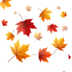 Autumn maple leaves falling isolated on transparent background
