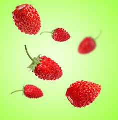 Fresh ripe wild strawberries in air against green gradient background
