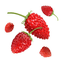 Fresh ripe wild strawberries in air against white background