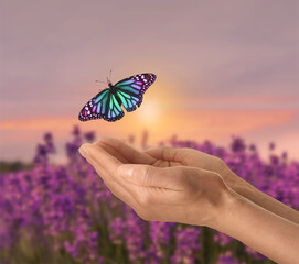Hope. Woman and flying butterfly in nature, closeup