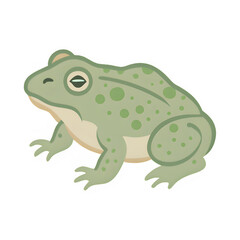 Fototapeta premium Common Toad Illustration, Brown Amphibian, Detailed Wildlife Art, Natural Forest Creature