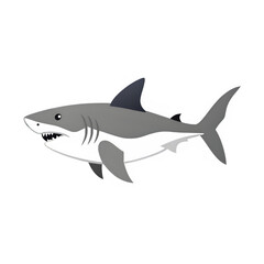 Obraz premium Great White Shark Illustration, Powerful Ocean Predator, Detailed Marine Wildlife, Fierce Underwater Creature Art 