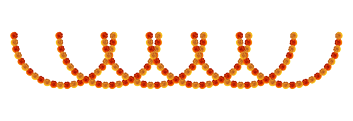 Marigold flowers hanging festive element for design decoration 