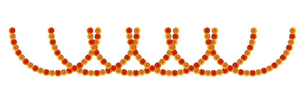 Marigold flowers hanging festive element for design decoration 