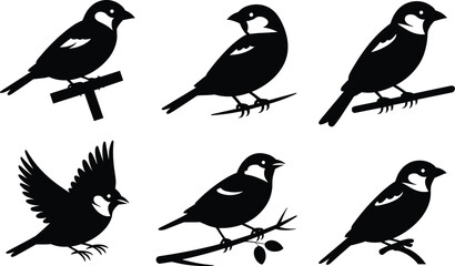 Bird silhouettes on branches, flying bird, white markings, artistic poses, nature illustration, wildlife design, black and white contrast, educational use