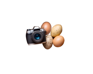 hand holding a photo camera isolated on white background. PNG Transparent file type with high definition quality And vibrant color grading Available.