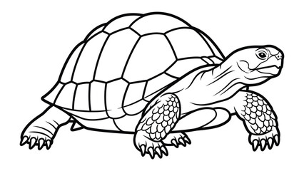 Turtle Outline Illustration: A detailed line drawing of a turtle, showcasing its shell, head, and legs with meticulous precision, perfect for coloring or design.