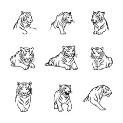 Obraz premium Collection of tiger poses silhouette isolated on white background