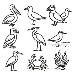 Sea Birds and Shoreline. Outline style icons of Sea Birds and Shoreline Life: pelican, seagull, puffin, sandpiper, osprey, heron,