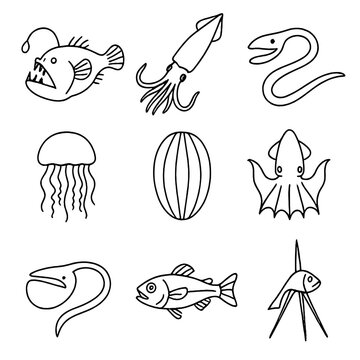 Deep Sea Icons. Outline style icons of Deep Sea Animals: anglerfish, giant squid, gulper eel, deep-sea jellyfish, comb jelly,