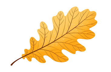 Obraz premium Yellow oak leaf with a clean, simple design. decorative borders for websites, educational materials, or as a standalone graphic element for seasonal projects and invitations