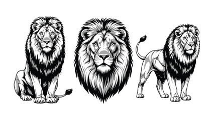 Majestic Trio: The King's Reign: A striking black and white illustration presents a regal lion in various poses, from a full-body seated stance to a focused headshot and a proud standing profile.