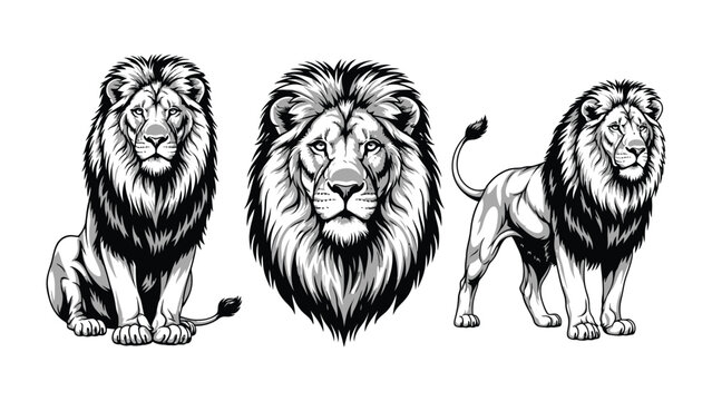 Majestic Trio: The King's Reign: A striking black and white illustration presents a regal lion in various poses, from a full-body seated stance to a focused headshot and a proud standing profile.