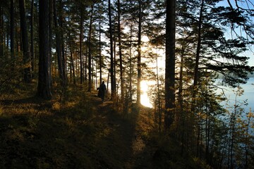 Fototapeta premium Sunset hike along serene lakeside forest trail with golden light filtering through trees