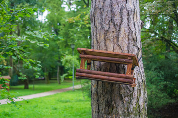  wooden birdhouse attached to a thick tree trunk in a park with green grass and trees concept of wildlife, nature magazine, gardening business