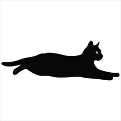 Black Sillouette Cat Isloated On White Background