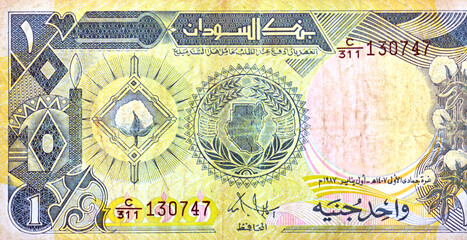 a large fragment of the obverse side of 1 SDG one Sudanese pound cash money banknote, features Cotton boll plants and the map of Sudan, old vintage retro money of Sudan, selective focus