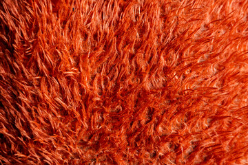 Vibrant Orange Fur Texture: Rich, Detailed Close-Up