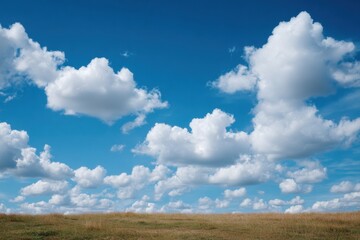 Obraz premium Clear blue sky with scattered soft white clouds above grassy field.