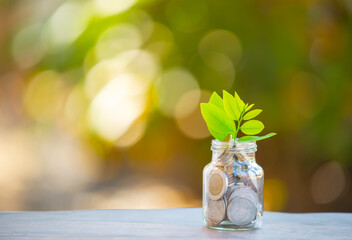 Plant Growing In Savings Coins - Interest Concept
