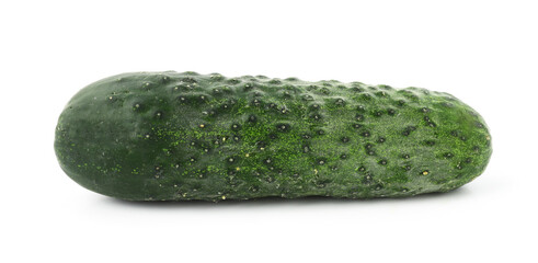 One fresh green cucumber isolated on white