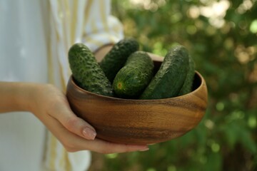 Woman with bowl of fresh cucumbers against blurred green background, closeup