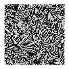 Abstract black and white generative art pattern resembling organic shapes and topographic contours alike